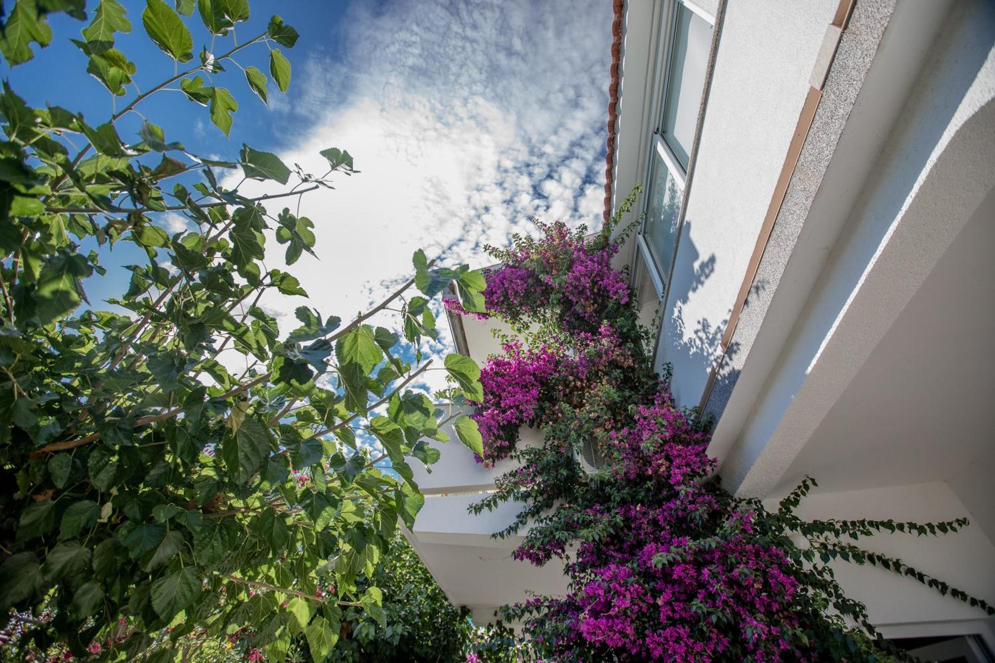 Apartman Rosa Supetarska Draga Dış mekan fotoğraf